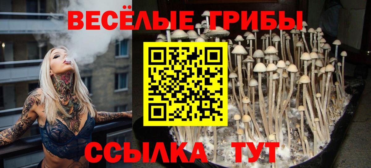 NBOMe  ГАШИШ  Кетамин  Вход с VPN  Марихуана  Радужный  МЕФ  
