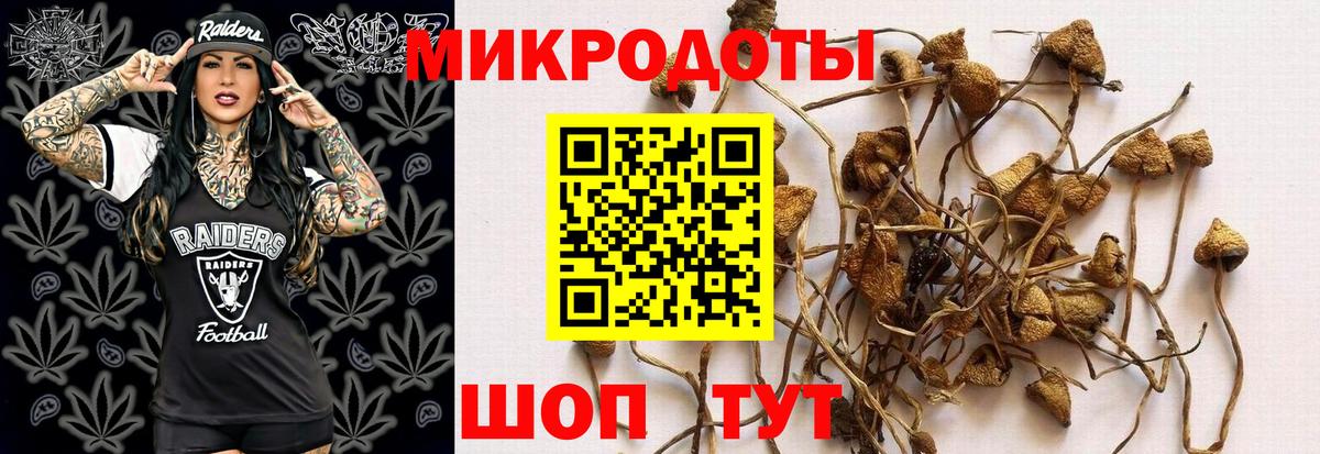 закладка  Вход с VPN  Радужный  Галлюциногенные грибы мицелий 